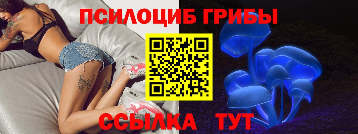 Псилоцибиновые грибы MAGIC MUSHROOMS Обнинск